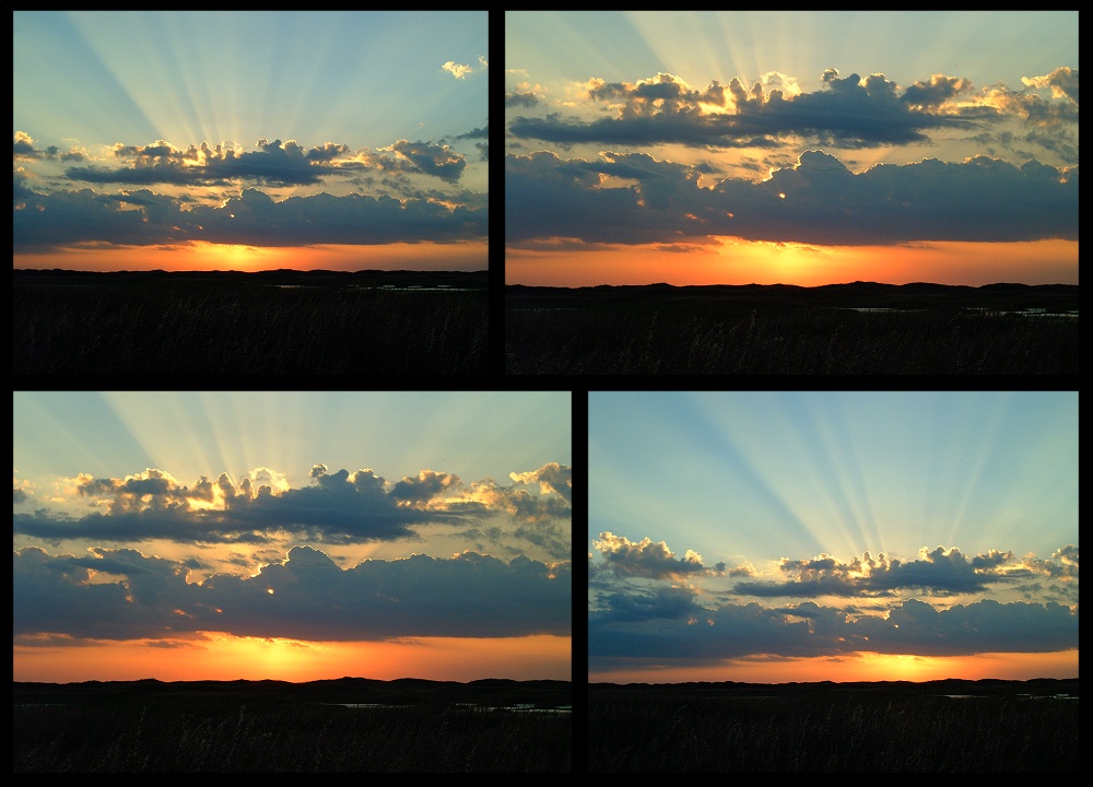 (04) sunrise montage.jpg   (1000x720)   221 Kb                                    Click to display next picture